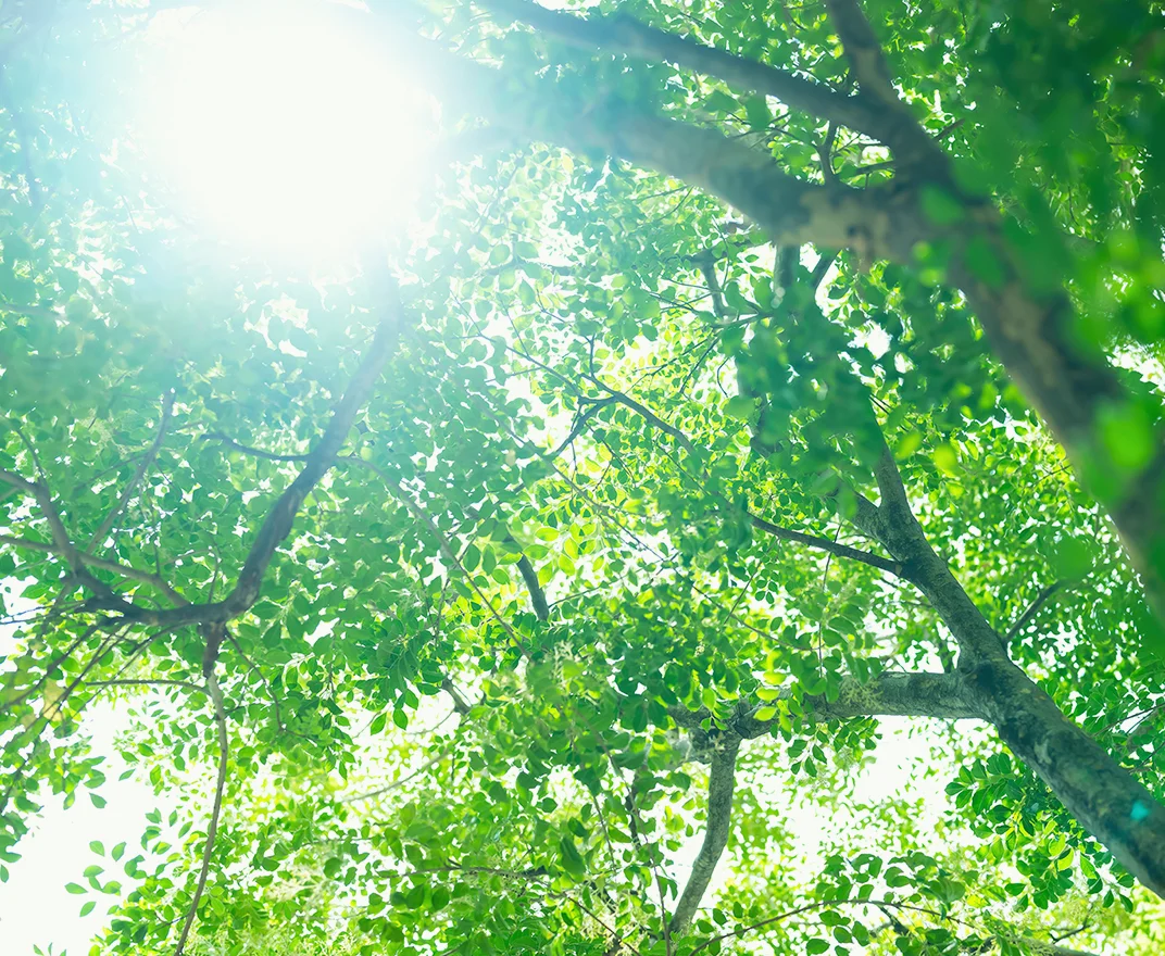 eco